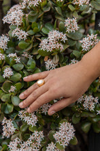 Load image into Gallery viewer, Mother of Pearl Set