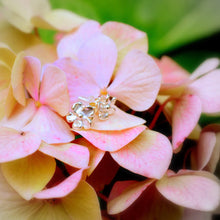 Load image into Gallery viewer, Lavande Studs